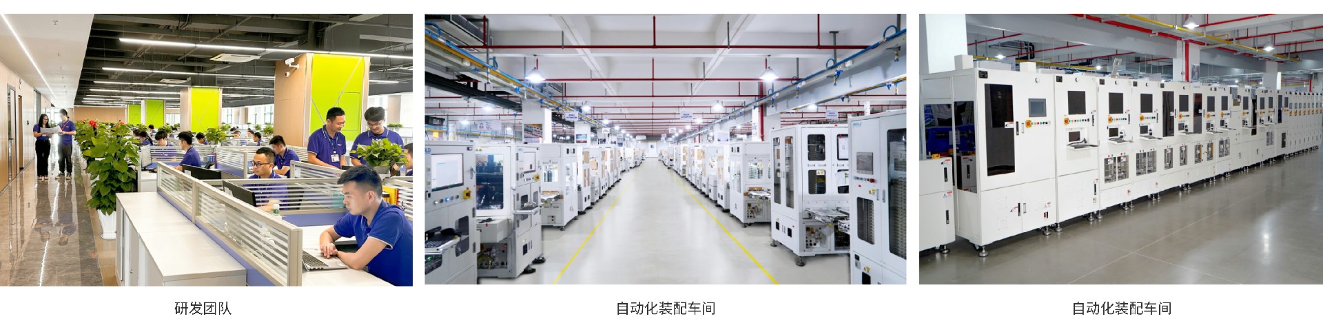 1724222680154479.jpg 11.jpg