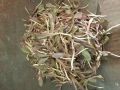 社區(qū)新鮮蔬菜團(tuán)購指南 便捷地址、聯(lián)系方式和營業(yè)時(shí)間一覽